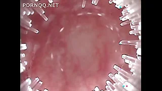 Sailor Non-specific AF 7